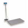 Brecknell PS500 Floor Scale System - 22" 816965001903